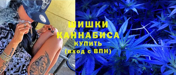 дживик Каменногорск