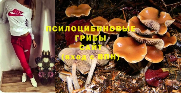 кокаин перу Абаза