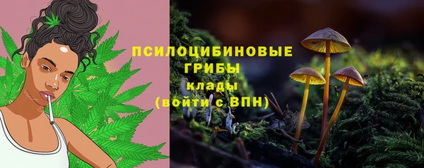прущая мука Абдулино