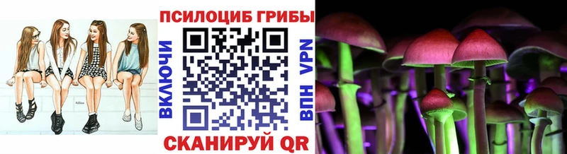 цена   Усть-Кут  Галлюциногенные грибы GOLDEN TEACHER 